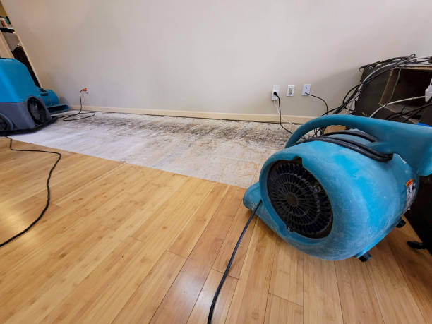 Professional Water Extraction technician working in Stanton, MI